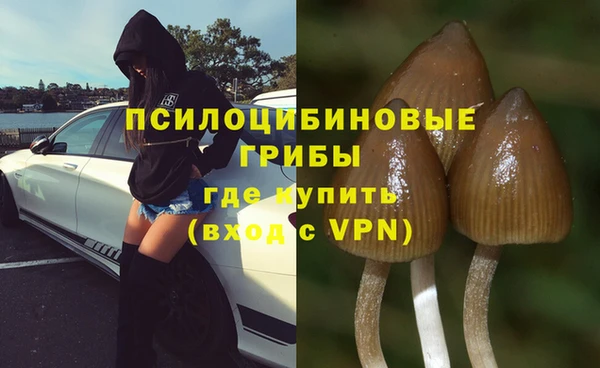 прущая мука Зеленодольск